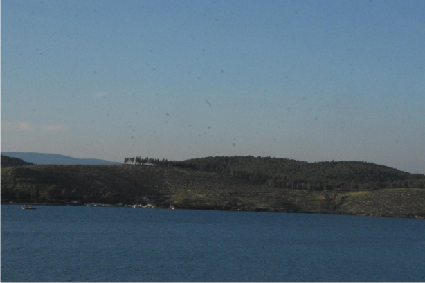 Foto - Bodrum'un yanan orman alanları, 21 ay sonra yeşerdi