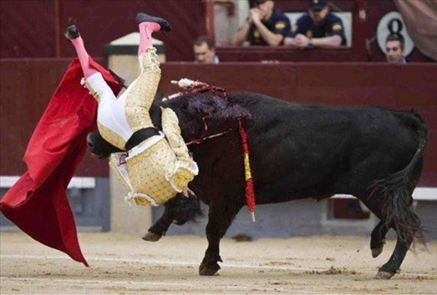 Foto - Boğa matadorun gözünü çıkardı!