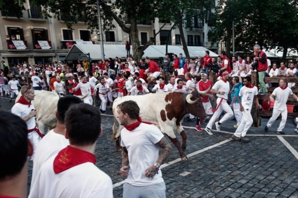Boğanın intikamı çok acı oldu!