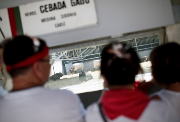 Foto - Boğanın intikamı çok acı oldu!