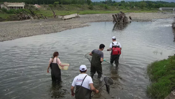 Foto - Boğazlardan 'Hayatta geçemez' deniliyordu, Samsun’da tespit edildi! İmkansız keşif