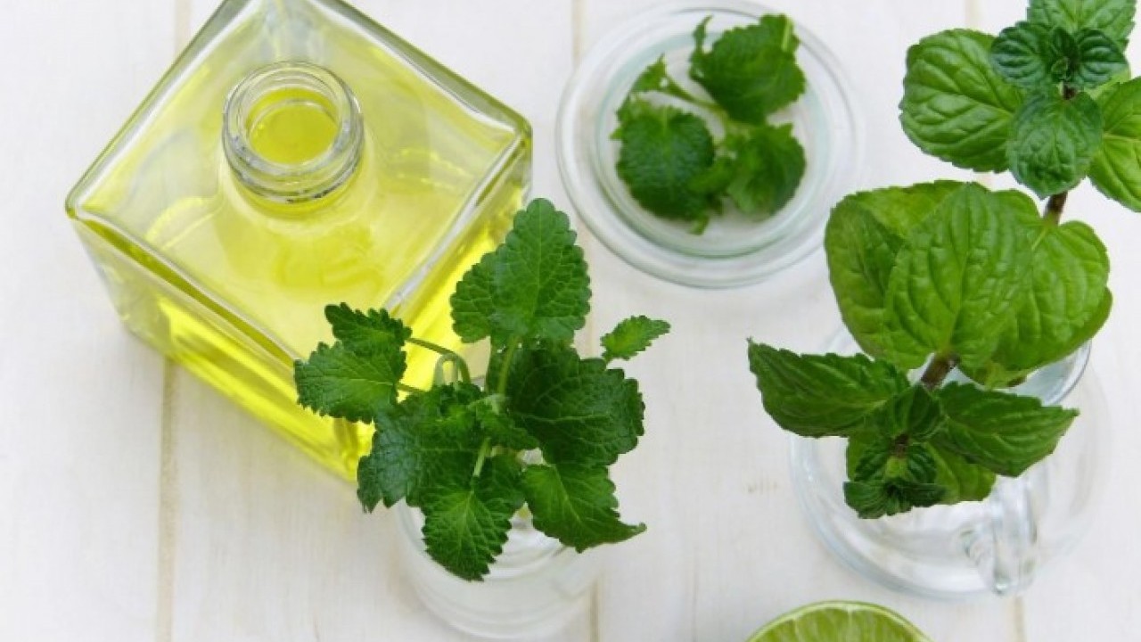 Foto - Boğucu sıcaklıklara karşı etkili! Sıcak havalarda serinlemenin kolay yolu