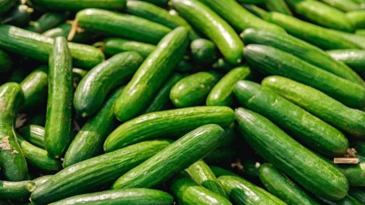 Foto - Boğucu sıcaklıklara karşı etkili! Sıcak havalarda serinlemenin kolay yolu