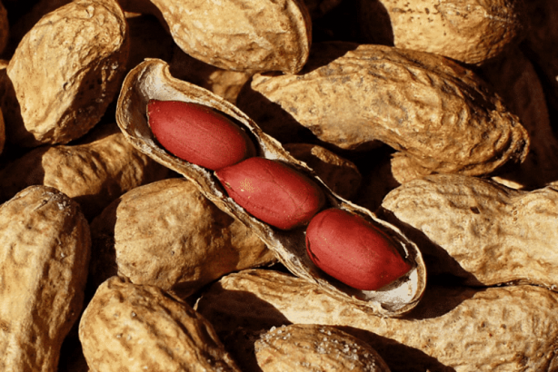 Foto - Bol bol fıstık yemek için 7 neden! Kilo bile verdiriyor