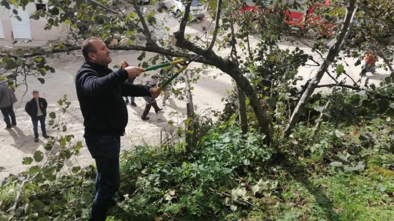 Foto - Bol bol meyve ve çiçek veriyor! İşte Ocak ayında budanması gereken bitkiler