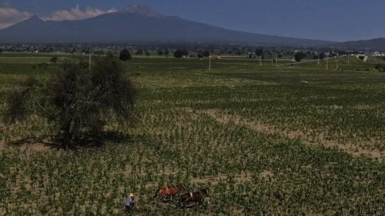 Foto - Bölge halkı tedirgin! Çiftliklerden hayvanları kaçıran esrarengiz varlık