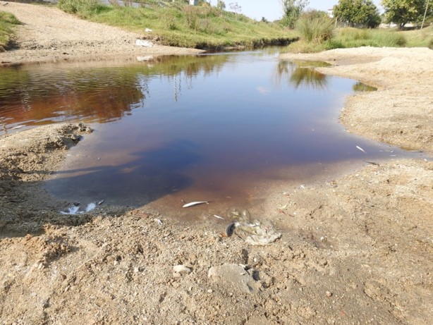 Foto - Bölge halkını isyan ettiren ihmal! Böyle olur CHP'li belediyenin denetlemesi