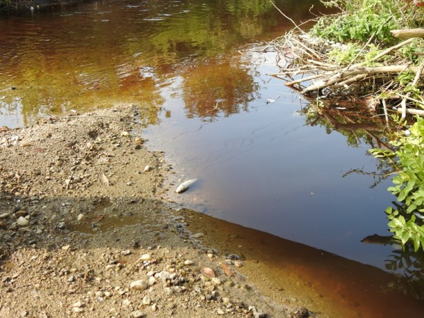 Foto - Bölge halkını isyan ettiren ihmal! Böyle olur CHP'li belediyenin denetlemesi