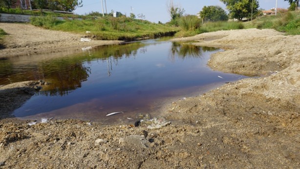 Foto - Bölge halkını isyan ettiren ihmal! Böyle olur CHP'li belediyenin denetlemesi