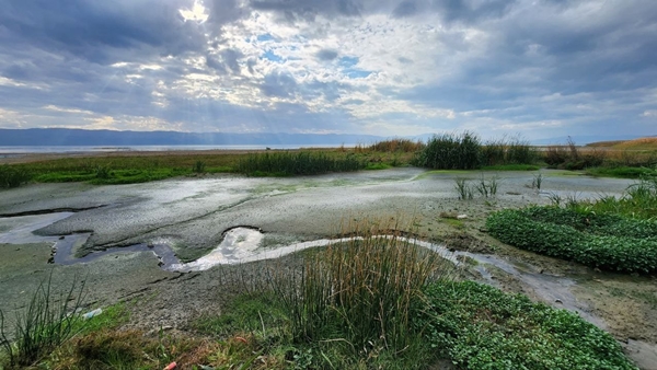 Foto - Bölgede korkutan görüntü... Tekneler karaya oturdu