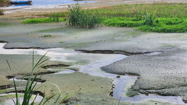 Foto - Bölgede korkutan görüntü... Tekneler karaya oturdu