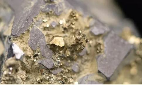 Foto - O ilimizde çok büyük bir altın rezervi olduğuna inanılıyor! Bölgedeki arazilere el konuldu