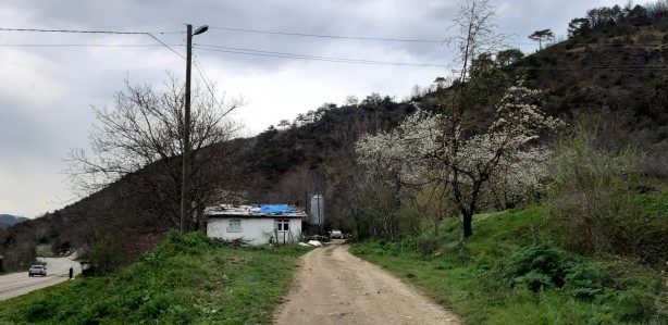 Foto - Bölgedeki çoban her şeyi anlattı! Sır gibi kazıda bomba iddialar