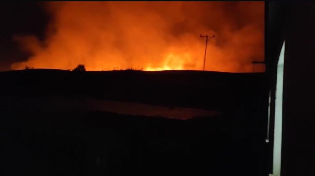 Bölgedeki rüzgarın etkisiyle alevler geniş alana yayıldı