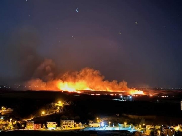 Foto - Bölgedeki rüzgarın etkisiyle alevler geniş alana yayıldı