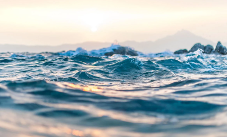 Foto - Bölgeden resmen fışkırıyor ama Türkiye giremiyor! Cihat Yaycı sitem etti: Defalarca söyledim