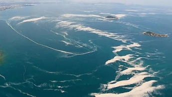 Foto - Bölgeden resmen fışkırıyor ama Türkiye giremiyor! Cihat Yaycı sitem etti: Defalarca söyledim