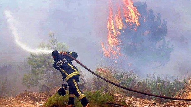 Bölgeden son dakika gelişmesi! Yola doğru çıktılar