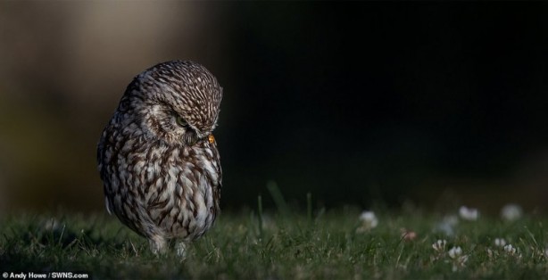 Foto - Bölgeye giden fotoğrafçı tedirgin eden anları paylaştı! Kamufle olmuşlar ve…