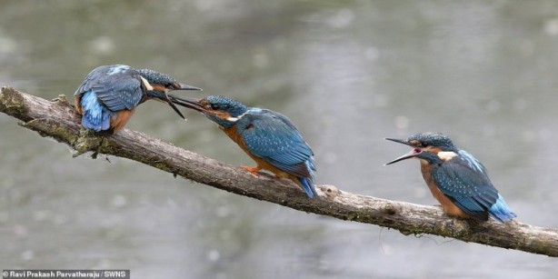 Foto - Bölgeye giden fotoğrafçı tedirgin eden anları paylaştı! Kamufle olmuşlar ve…