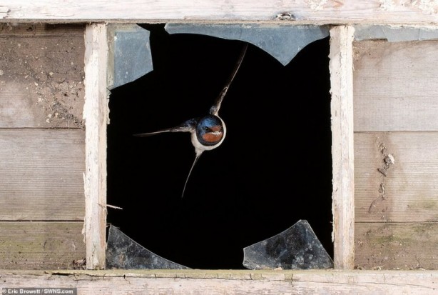 Foto - Bölgeye giden fotoğrafçı tedirgin eden anları paylaştı! Kamufle olmuşlar ve…