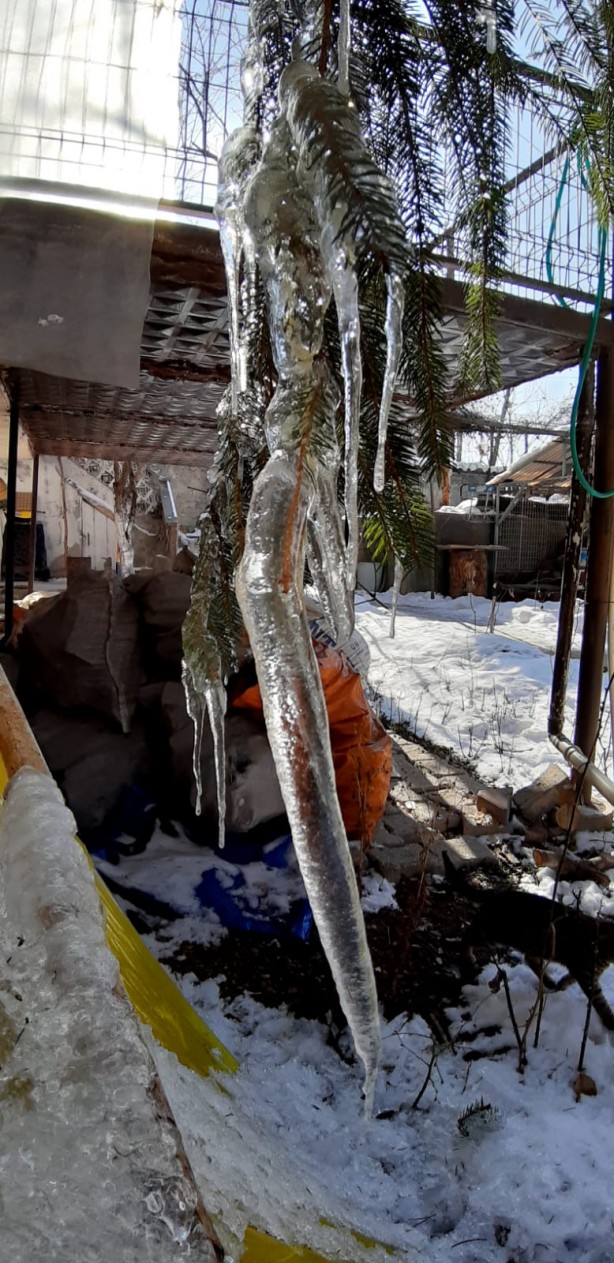 Foto - Bolu'da göl buz tuttu