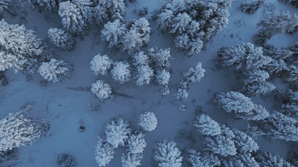 Foto - Bolu'da hayran bırakan manzara