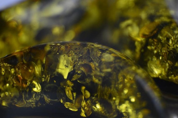 Foto - Bolu'da heyecanlandıran altın gelişmesi! Yakında 'her yerden fışkırıyor' haberini alırsak şaşırmayın