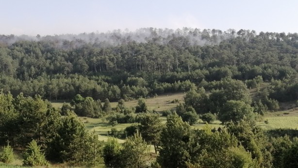 Foto - Bolu'da korkutan yangın kontrol altına alındı!