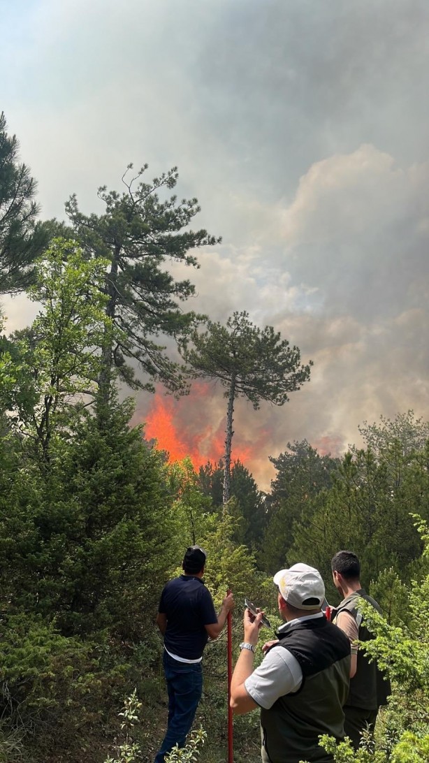 Foto - Bolu'da korkutan yangın kontrol altına alındı!