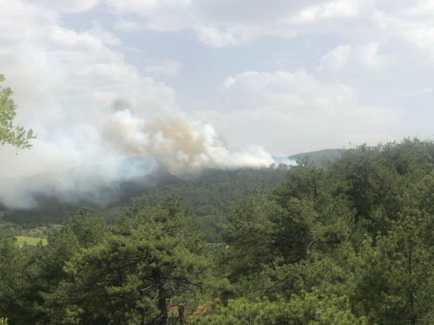 Foto - Bolu'da korkutan yangın kontrol altına alındı!