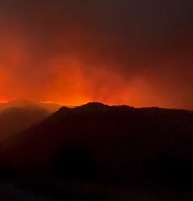 Bolu’da orman yangını  devam ediyor