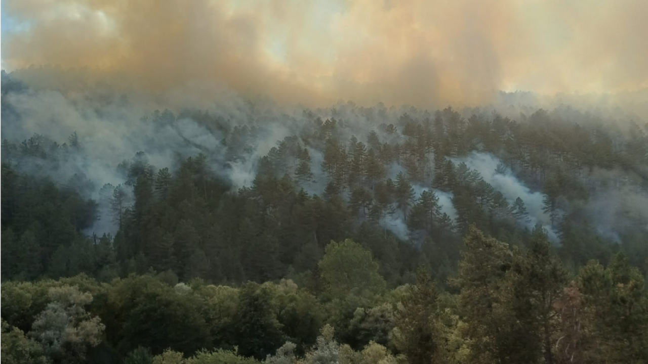 Bolu'da orman yangını! Mengen-Devrek kara yolu ulaşıma kapatıldı