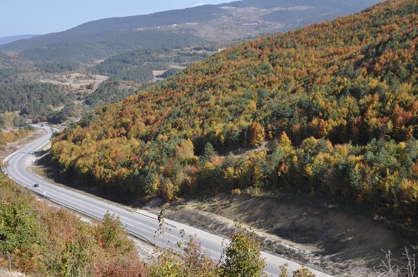 Foto - Bolu’da sonbahar renkleri