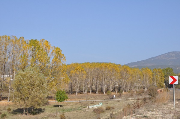 Foto - Bolu’da sonbahar renkleri