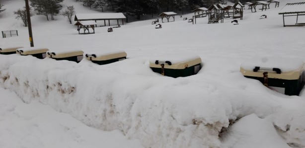 Foto - Bolu'daki Abant Tabiat Parkı ile Karabük'teki Keltepe Kayak Merkezi'nde kar etkili oluyor