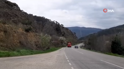 Foto - Haluk Özdil Bolu'daki gizemli kazıda ne arandığını açıkladı! Aranan şey bulunursa ABD ve Rusya fena sarsılacak