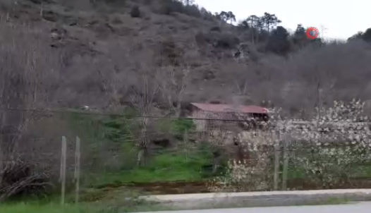 Foto - Haluk Özdil Bolu'daki gizemli kazıda ne arandığını açıkladı! Aranan şey bulunursa ABD ve Rusya fena sarsılacak