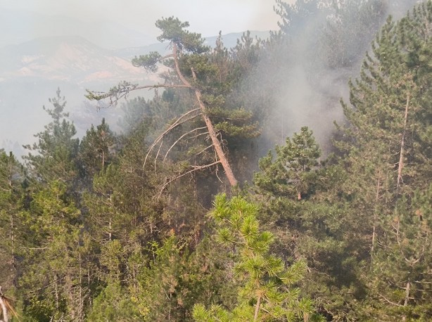 Foto - Bolu'daki orman yangını 6 saatin ardından kontrol altına alındı