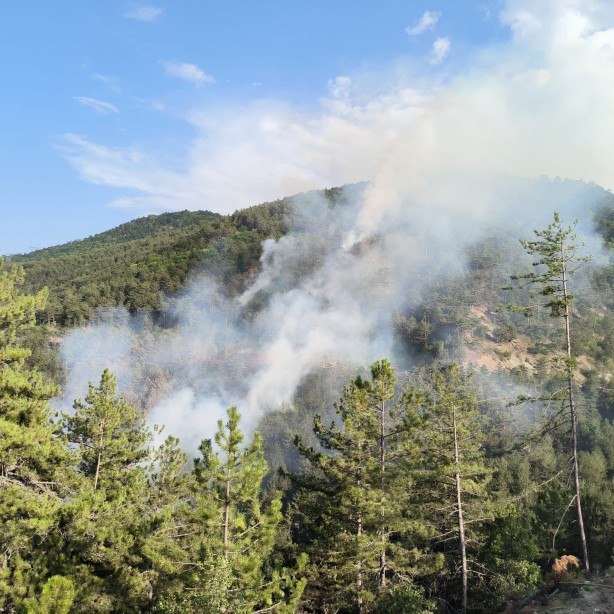 Foto - Bolu'daki orman yangını 6 saatin ardından kontrol altına alındı