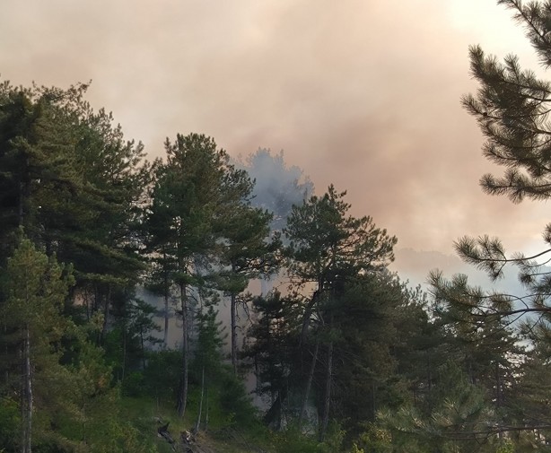 Foto - Bolu'daki orman yangını 6 saatin ardından kontrol altına alındı