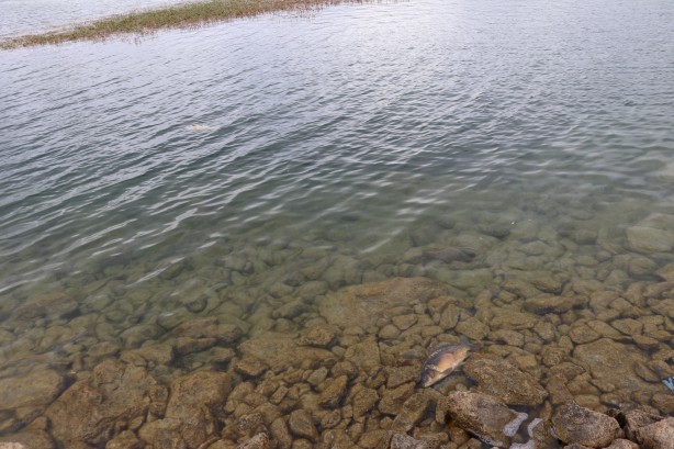 Foto - Bolu'dan tedirgin eden haber! Numuneler alındı