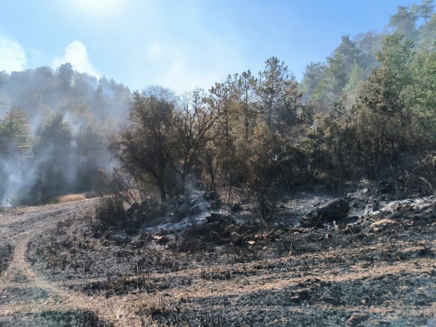 Foto - Bolu’dan yürekleri rahatlatan haber