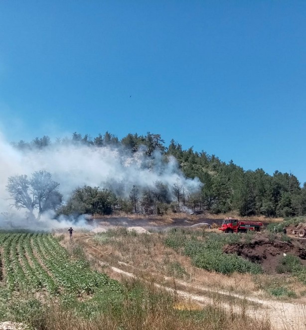Bolu’dan yürekleri rahatlatan haber
