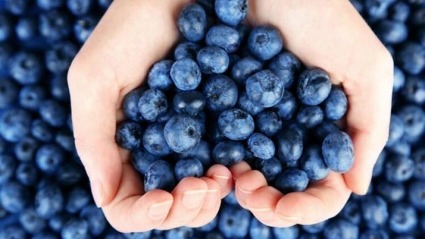 Foto - Bomba araştırma! Uzman isim etkisini açıkladı! Eğer günlük tüketilirse…