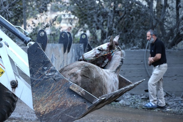 Foto - Bombardımanın ardından bu görüntüler kaldı