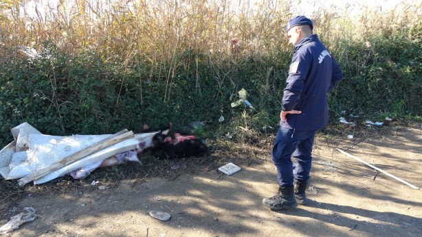 Foto - Boş arazideki endişelendiren görüntü ekipleri harekete geçirdi!