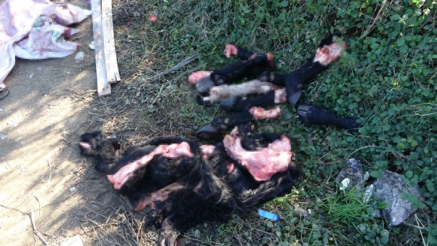 Foto - Boş arazideki endişelendiren görüntü ekipleri harekete geçirdi!