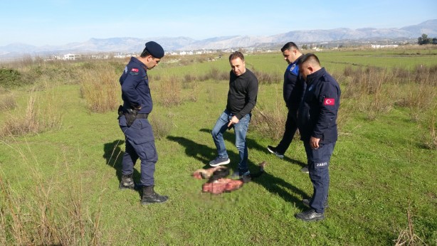 Foto - Boş arazideki endişelendiren görüntü ekipleri harekete geçirdi!
