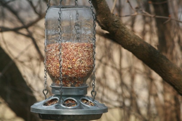 Foto - Boş kavanozları en güzel değerlendirme yolları
